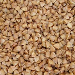 Castle Malting® Buckwheat (AJDA/HELJDA)