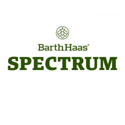 Spectrum Galaxy (25ml Homebrew)