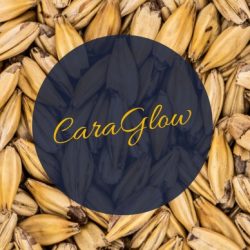 Caraglow