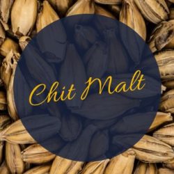 Chit Malt